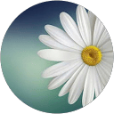 Caroline profile picture